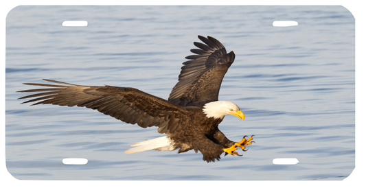 EAGLE OVER THE OCEAN LICENSE PLATE