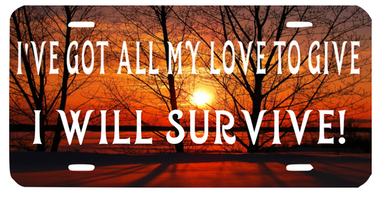 I WILL SURVIVE LICENSE PLATE