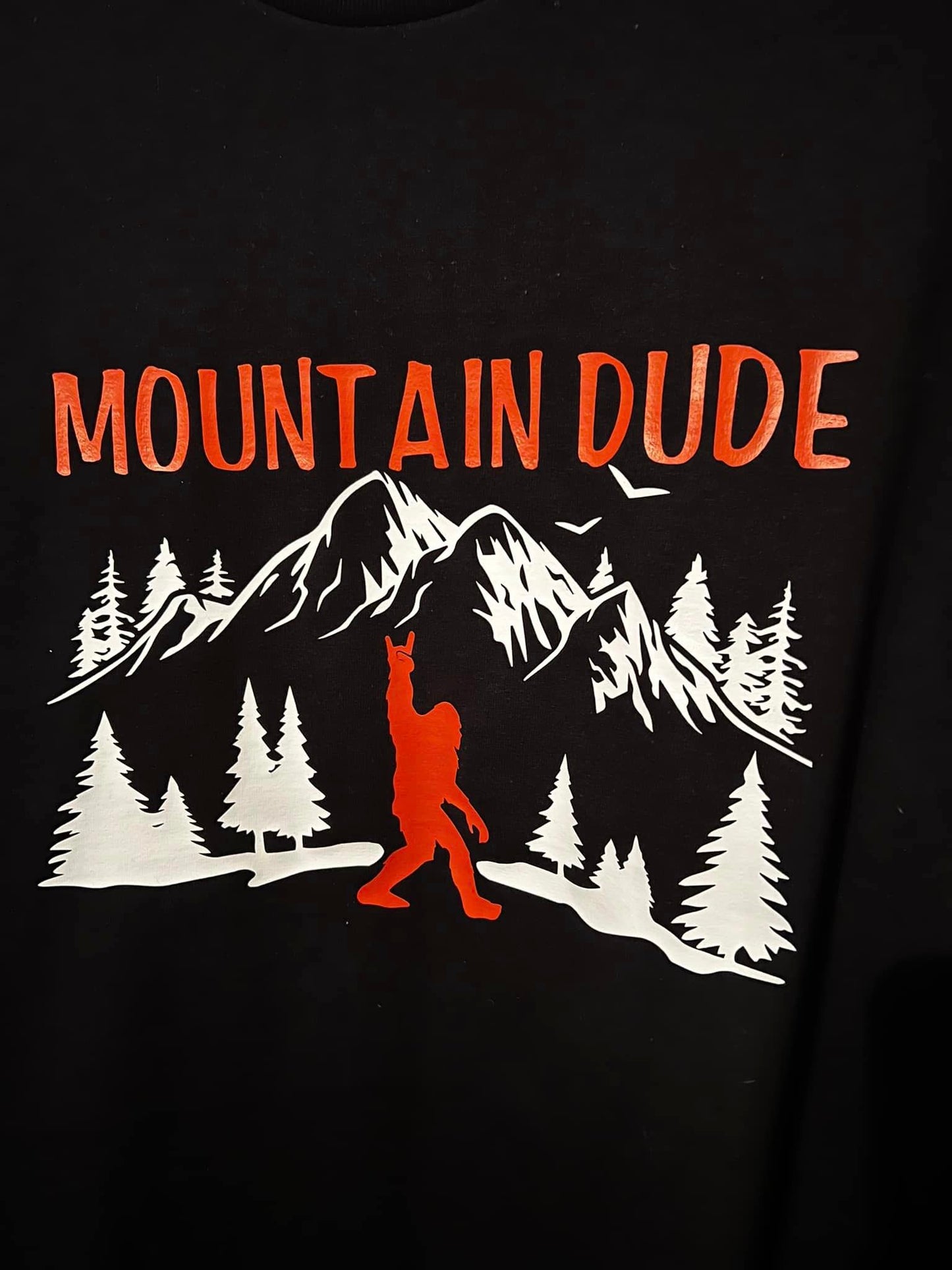 MOUNTAIN DUDE T-SHIRT