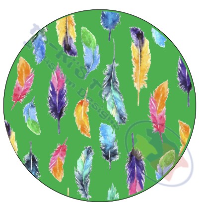 GREEN FEATHERS CAR COASTERS SET